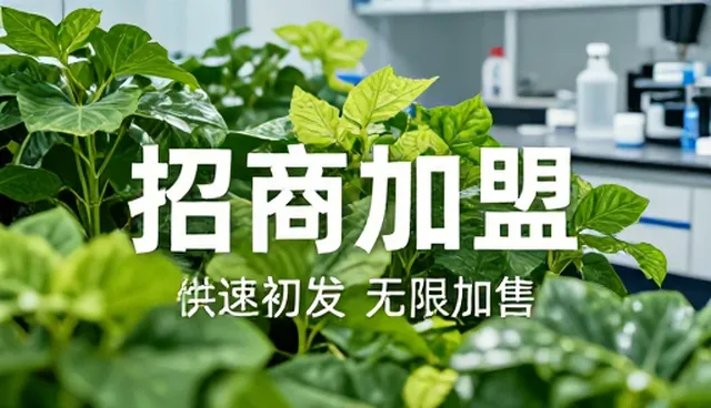 招商加盟信息推广如何精准触达目标群体